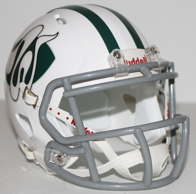 Chicago Winds WFL Custom Mini Helmet
