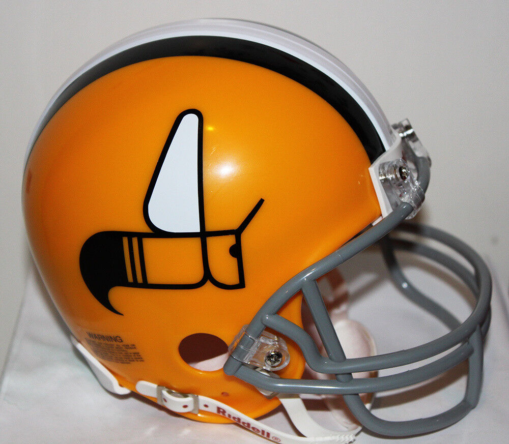 Charlotte Hornets WFL Riddell Custom Mini Helmet