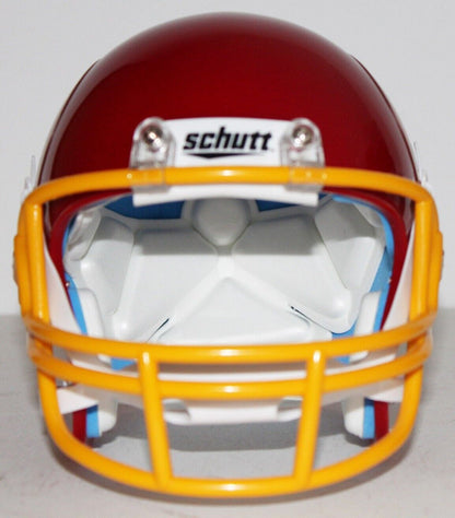 Baywatch Custom Mini Helmet