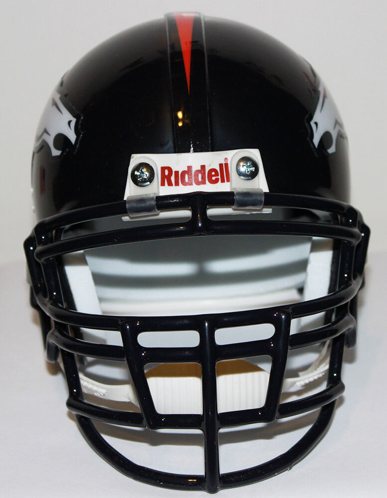 Terrell Davis Denver Broncos Riddell Custom Mini Helmet with Metal Facemask