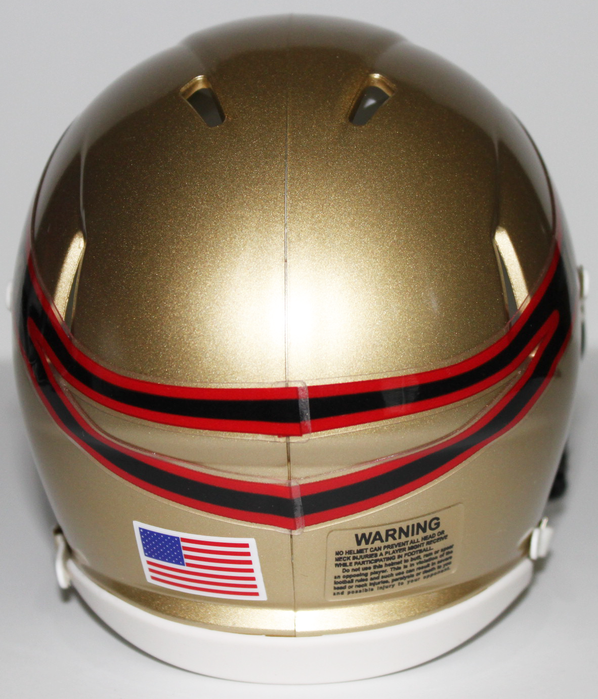 AFL Iowa Barnstormers Custom Mini Helmet