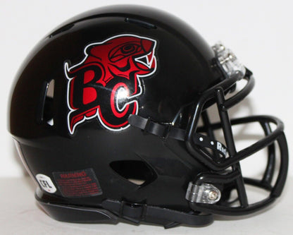 2022 CFL BC Lions Custom Riddell Mini Helmet vs Ottawa
